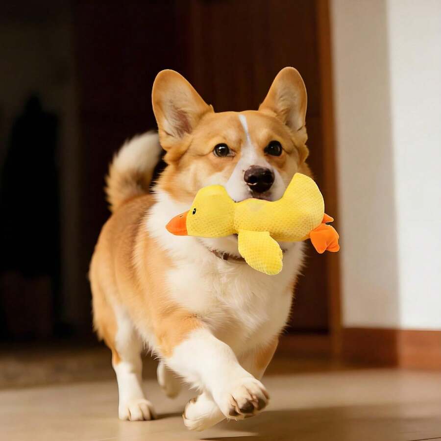 宠物狗玩偶减压器，毛绒宠物狗玩偶，大型犬自娱自乐发声咀嚼玩偶，耐用防咬宠物用品