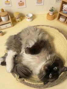 1个手工编织藤条猫窝,二合一设计,采用棉绳和香蒲制成,透气凉爽,夏季使用舒适,经久耐用,防抓挠,可搭配软垫和冰垫使用,四季皆宜,适合猫咪和小型犬,是多宠家庭的理想之选。 - 黃色 - 查看 3