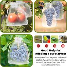 50/100 Kantong Jaring Anti Hama untuk Kebun, Kantong Penutup Buah, Kantong Pelindung Stroberi & Anggur untuk Budidaya Tanaman dan Sayuran, dengan Tali Serut untuk Melindungi dari Burung dan Serangga - A - View 4