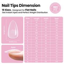 Beetles Tipex Lite Pre-Built Apex Nail Tips Kit, Stiletto Medium, With Tipex Nail Glue,  All-In-One Gel Nail Kit - Tipex Lite-almond Short 192pcs Kit - View 4