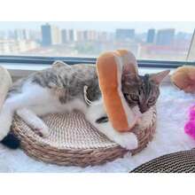 1 pieza Cama rascador de gato de ratán 2 en 1, cama para mascotas tejida a mano con cuerda de algodón y junco, nido de gato transpirable y refrescante para el verano, sofá para gatos resistente a arañazos, compatible con cojín suave y almohadilla de hielo, sofá para mascotas para todas las estaciones para gatos y perros pequeños, ideal para hogares con varias mascotas - Beis - Ver 6