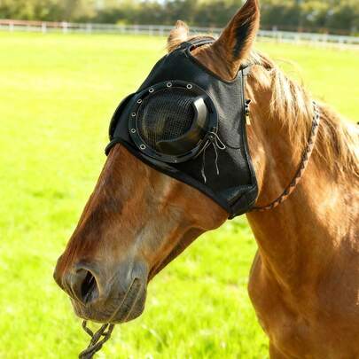 Máscara ajustable de malla anti-moscas para caballos - Accesorio profesional diseñado para carreras y entrenamiento. Extremadamente cómodo, gafas de equitación elásticas con amplia visión y protección UV, material suave y transpirable.