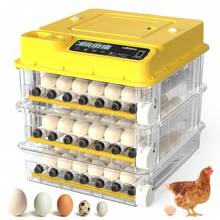 24-216 Egg Incubator For Hatching Eggs With Fully Automatic Egg Turning, Humidity Control By Bottles, Incubators For Chicken, Ducks, Quail, And Other Poultry Eggs, 360° View With Clear Window - Xem 1