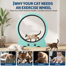 Wooden Cat Exercise Wheel for Indoor Cats – Low Noise, Carpeted Treadmill with Removable Track for Safe Running & Training – Sturdy, Smooth Performance - Grün - Übersicht 8