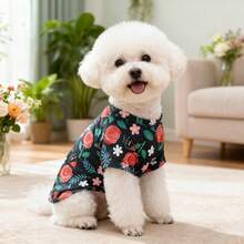 1pc New Spring/Summer Pet Apparel, Cat/Dog T-Shirt With Leg Holes - Multicolor - View 4