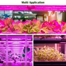 1条植物辅助灯条。柔韧可弯曲灯条。适用于室内植物生长，是花卉、多肉植物和幼苗的理想选择，可提供额外光照促进生长。USB接口，即插即用，是室内园艺爱好者的理想之选。 - Plant growth light strip - 查看 8