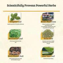 Suplemento Purificador de Candida de Máxima Pureza | Apoya el equilibrio intestinal y el bienestar digestivo - 1 botella - Ver 2