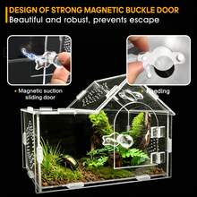 Transparentes Acryl-Terrarium für Springspinnen, Zuchtbox für Reptilien, Geckos und Insekten, belüftetes Terrarium für Vogelspinnen - Transparent - Übersicht 4