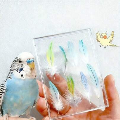Hộp trưng bày bộ sưu tập lông chim cảnh, trong suốt độ nét cao - Một chiếc hộp kỷ niệm trang nhã giúp lưu giữ những kỷ niệm ấm áp về thú cưng của bạn. Thích hợp cho chim yến, vẹt mào, vẹt tình yêu và những người sưu tập lông chim khác. Một khung bền chắc dành cho những người yêu chim để trưng bày bộ sưu tập lông của họ, một món quà kỷ niệm lâu dài.