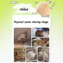 Đồ chơi bóng giúp giảm buồn chán cho thỏ, tấm cào móng cho chuột hamster, giúp giảm thiểu thiệt hại cho đồ đạc của thỏ và làm dịu cảm xúc. - Nhiều màu - Xem 8
