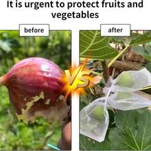 50/100 Kantong Jaring Anti Hama untuk Kebun, Kantong Penutup Buah, Kantong Pelindung Stroberi & Anggur untuk Budidaya Tanaman dan Sayuran, dengan Tali Serut untuk Melindungi dari Burung dan Serangga - A - View 3
