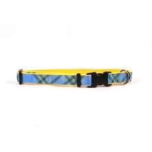 Pet Collar Accessories - Azul - View 6