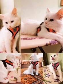 Reflective Breathable Dog Harness & Leash Set, Adjustable Soft Mesh Pet Vest For Small Dogs, Pink - Pink - View 8