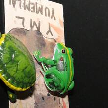 3D Fridge Magnets, Realistic Frog & Turtle Fridge Stickers, Gag Gifts, Micro Landscape Decor, Fish Tank Ornaments - Refrigerator Magnets - View 6