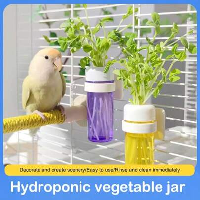 1个水溶性鸟类悬挂式植物喂食器，一体式营养喂食装置，兼容水族箱和陆生缸生态系统，小型鸟类无需直接接触，卫生设计，PP塑料材质，鸟类鹦鹉花园水族箱风格，网格状喂食模式，鹦鹉水果蔬菜种植系统，适合小型鸟类和鹦鹉在花园户外露台使用。