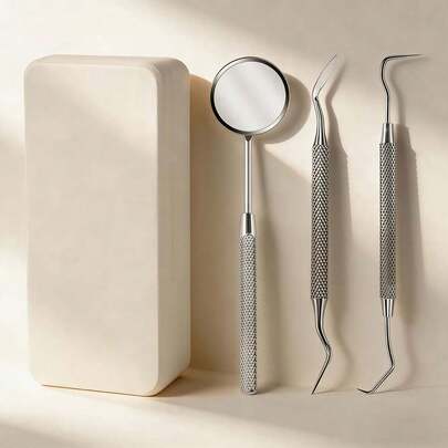 4件套迷你牙齿清洁工具，不锈钢宠物牙齿护理工具，便携式牙齿清洁套装，适用于所有宠物品种，不锈钢猫狗口腔护理套装，方便居家使用，3色收纳盒