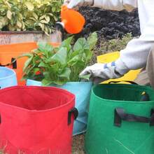5 Gallon Felt Planting Bags, Durable Tomato Vegetable Garden Containers, Reusable Planting Bags With Sturdy Handles, Enhanced Load-Bearing Capacity For Outdoor Gardening, Home Balcony, Vegetable Garden Decor, Street, Multiple Colors Available - A - View 7