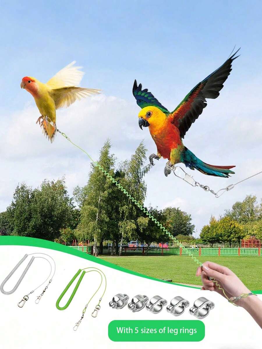 6pcs Extendable Bird Flight Training Leash Set, Includes 5 Size Anti-Bite Foot Rings, Elastic Buffer Anti-Escape, Suitable For Parrots, Cockatoos, Lovebirds, Macaws Outdoor Flight Training To Prevent Loss, Applicable For Yard, Park Bird Walking, Also A Thoughtful Gift For Bird Owners