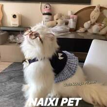 春季/服装，贵宾犬和小型猫咪图案吊带裙，学院风，防掉毛，比熊犬 - 藍色 - 查看 1