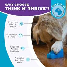 Outward Hound Gummiez Dog Toy & Treat Stuffer, 4.″ X 3″ Blue Raspberry-Scent Interactive Chew Dogs, Promote Healthy Teeth, Gums & Mental Enrichment, Reduce Boredom & Support Dental - 熊 - 查看 6