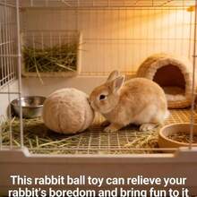 Đồ chơi bóng giúp giảm buồn chán cho thỏ, tấm cào móng cho chuột hamster, giúp giảm thiểu thiệt hại cho đồ đạc của thỏ và làm dịu cảm xúc. - Nhiều màu - Xem 6