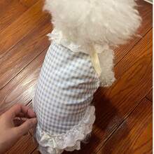 1件 LANGXINGCS 格子猫咪上衣，涤纶材质，柔软透气，蕾丝花边装饰，带蝴蝶结，清新时尚，适合中小型犬。 - 彩色 - 查看 7