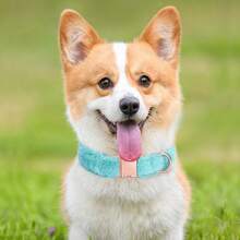 CP325 Customizable Soft & Warm Plush Winter Dog Collar, Designed Specifically For French Bulldog Pets - Multicolor - View 11