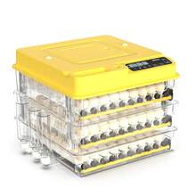 24-216 Egg Incubator For Hatching Eggs With Fully Automatic Egg Turning, Humidity Control By Bottles, Incubators For Chicken, Ducks, Quail, And Other Poultry Eggs, 360° View With Clear Window - 美規A型插(110-127V) - 查看 13