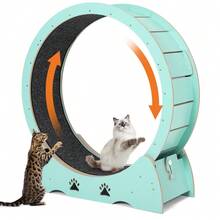 Wooden Cat Exercise Wheel for Indoor Cats – Low Noise, Carpeted Treadmill with Removable Track for Safe Running & Training – Sturdy, Smooth Performance - Grün - Übersicht 6