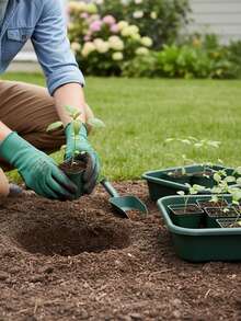 Khay trồng cây đa năng màu xanh lá cây, kích thước 16,9" x 11,8" x 3,14", thích hợp để gieo hạt, trộn đất, trồng cây và bảo quản chậu, phù hợp với đất trồng cây mọng nước và xương rồng, đa dụng cho làm vườn trong nhà và ngoài trời, chất liệu nhựa nhẹ. - Khay đựng đồ làm vườn - Xem 6