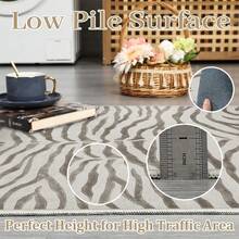 1PC  Zebra Stripe Pattern Print Design 5x7 Washable Area Rugs For Living Room Bedroom, Velvet Material Low-Pile Carpet Suitable For Indoor Outdoor High Traffic Areas,  Soft Texture Holiday Print Mat(1) - A - 查看 7