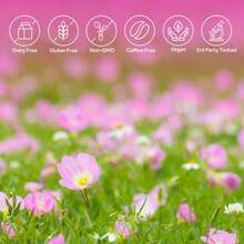 GREENPEOPLE Evening Primrose Oil For Women Hormone Balance Supplement, 1300mg With 10% GLA, Supports Skin Health & Hair Wellness, Vegan Softgels, 120 Count - 1 Pack(60pcs) - 查看 7