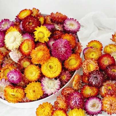 Mixed Dried Grass Bouquet, Dried Grass Flower Heads With Stems, Dried Flower Decor, Home Decor, Wedding Floral Decoration