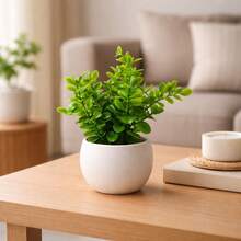 Kit Of 2 Arrangements: 2 Round White Vases + 2 Premium Artificial Eucalyptus Branches - Minimalist Decoration - màu xanh lá - Xem 6