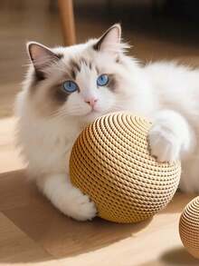 1个超大号猫咪球玩具，可自娱自乐、缓解压力、咀嚼玩耍，也可作为猫抓玩具。 - 彩色 - 查看 7