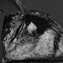 2026新款大容量男女通用休闲背包，适合旅行、观光、高中生、大学生使用。 - 彩色 - 查看 6