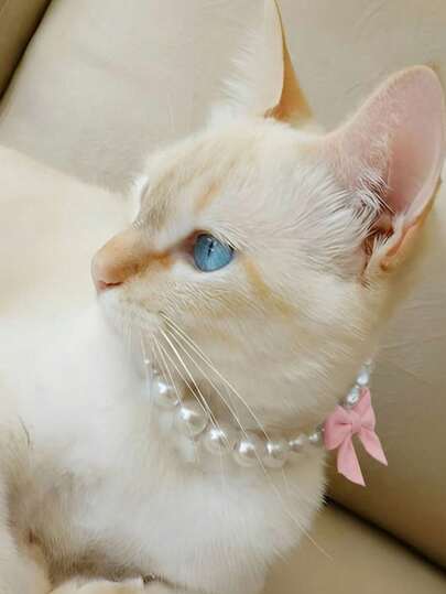 1pc Cute & Sweet Pet Collar, Handmade Pearl Necklace Suitable For Cats & Dogs, Pink Bow Tie Design, Highly Elastic Adjustable Cat Collar, Bow Tie Neck Strap, Fit For Small Dogs & Cats, Suitable For Daily Life & Play, Pet Clothing Decor, Dog & Cat Collar, Cartoon Cat Collar, Pet Gift, Photography Prop, Adorable Pet Collar, Dog Collar, Puppy Collar, Small Dog Collar, Pet Wedding Collar, Wedding Bow Tie