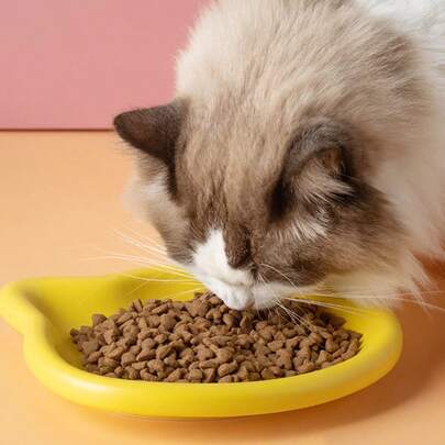 3个猫碗，塑料材质，适用于幼猫、罐头食品和冻干零食，矮款宠物碗