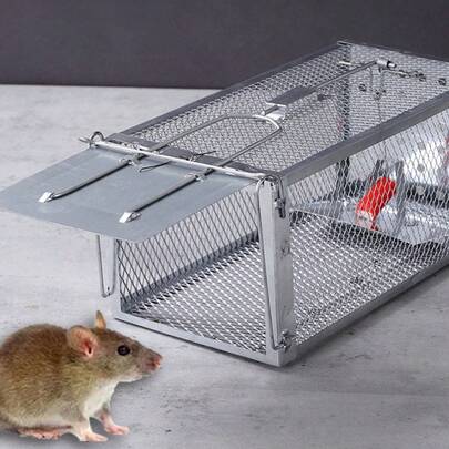 Durable Metal Rat Cage Trap, Effective Mouse Catcher For Home & Garden