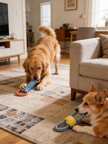 Đồ chơi dây kéo co hai vòng, thiết kế hai vòng là món đồ chơi thú vị dành cho chủ nuôi chơi cùng thú cưng, đồ chơi dây có thể giúp làm sạch răng và nướu của thú cưng, giúp giải trí và tiêu hao năng lượng dư thừa của chúng. - Nhiều màu - Xem 5