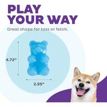 Outward Hound Gummiez Dog Toy & Treat Stuffer, 4.″ X 3″ Blue Raspberry-Scent Interactive Chew Dogs, Promote Healthy Teeth, Gums & Mental Enrichment, Reduce Boredom & Support Dental - 熊 - 查看 4