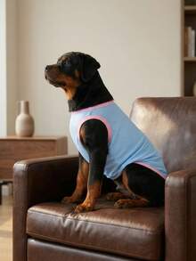 Dog Tank Top, Dog Vest, Soft & Breathable Pet Summer T-Shirt, Stretchy Sleeveless Athletic Tank Top Clothing For Running Walking, Dog Apparel For Small Medium And Large Breed - Blue With Pink - Multicolor - View 11