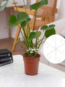 1个植物支架，坚固的攀援植物茎夹，藤蔓固定器，室内花茎固定器，塑料园艺工具，适用于攀援植物，可用于露营/婚礼/花园装饰/卧室装饰/房间装饰/家居装饰/秋季装饰/情人节/复活节 - 多色 - 查看 6