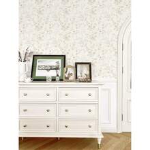 1卷复古植物壁纸，时尚简约的米色植物壁纸，精致的室内装饰膜，适用于房间和橱柜表面的装饰翻新，各种房间和厨房墙面装饰壁纸，自粘贴纸，易于安装和移除，手工工艺膜 - 暖色植物 - 查看 9