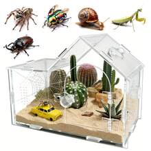Transparentes Acryl-Terrarium für Springspinnen, Zuchtbox für Reptilien, Geckos und Insekten, belüftetes Terrarium für Vogelspinnen - Transparent - Übersicht 1