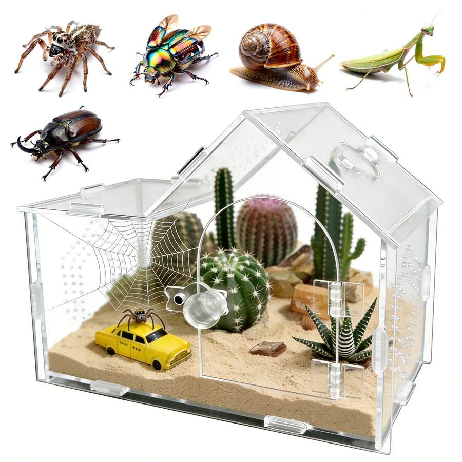 Transparentes Acryl-Terrarium für Springspinnen, Zuchtbox für Reptilien, Geckos und Insekten, belüftetes Terrarium für Vogelspinnen - Transparent - Übersicht 1