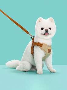 Comfortable Breathable Cute Bear Pattern Pet Leash Set, Suitable For Small Dogs Like Poodle And Bichon Frise When Going Out - Khaki - View 6