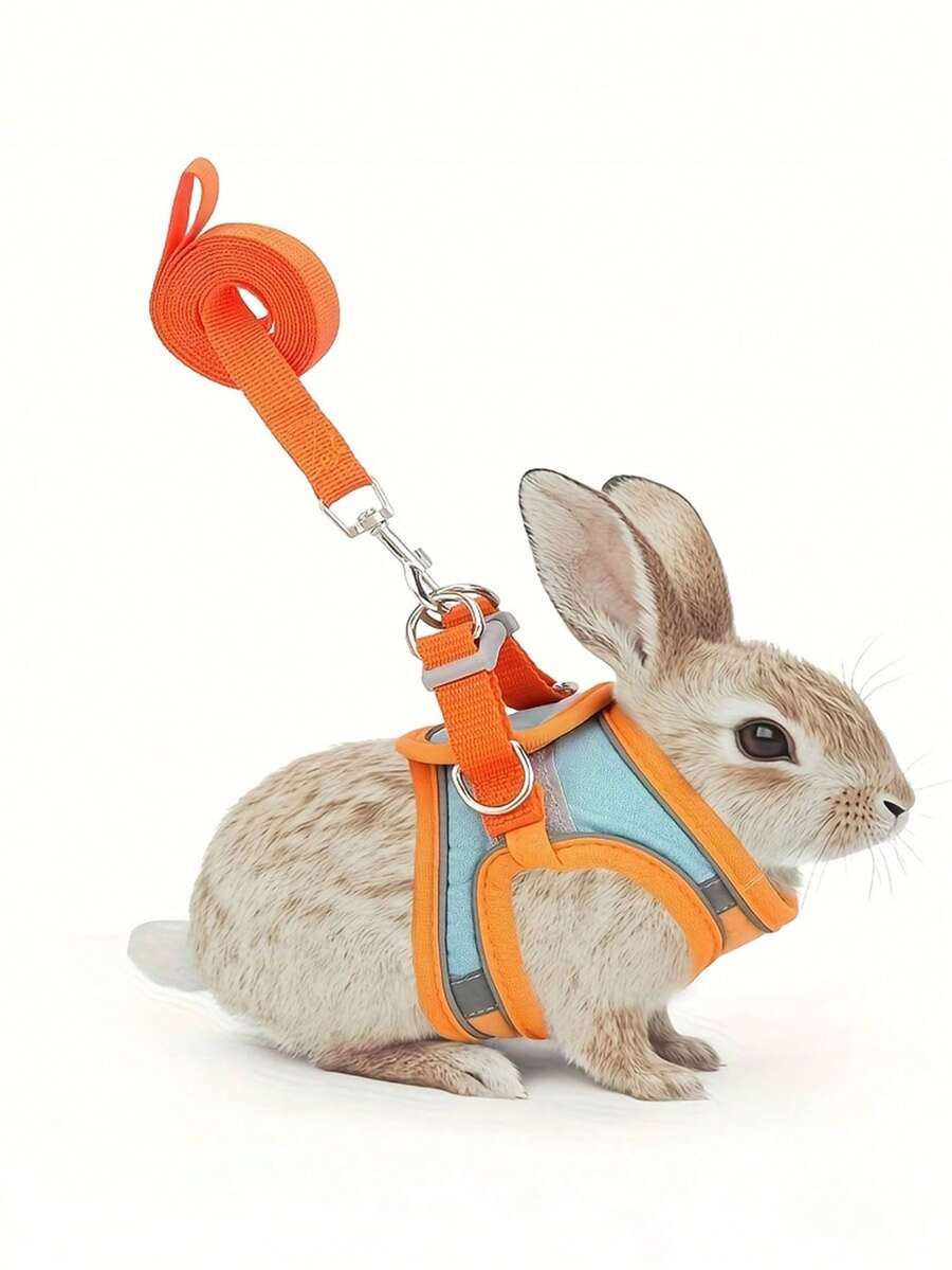 1pc/ Adjustable Rabbit Tethering Rope Set - Suitable For Various Small Animals - Orange - View 1