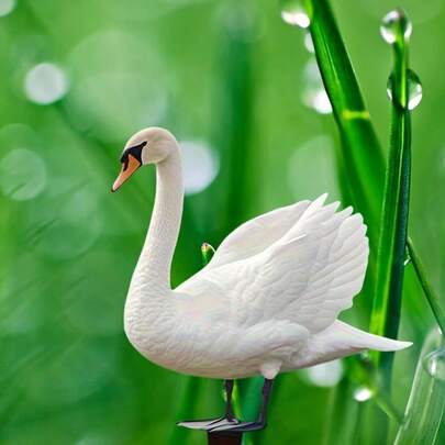 2D Flat Large White Goose Garden Stake - Durable Acrylic Outdoor Decor, Suitable For Lawn, Yard And Farm Art Display, Animal Themed Ground Stake With Red Beak And Feet Design, Yard And Lawn Decoration