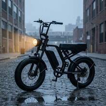 Adult Electric Bicycle, 20-Inch Wide Tires, 48-Volt 15 Ah Battery, Rated Power 750W, Maximum Range 29-39 Miles, Maximum Load Capacity 330 Lbs. - 加 - 查看 10